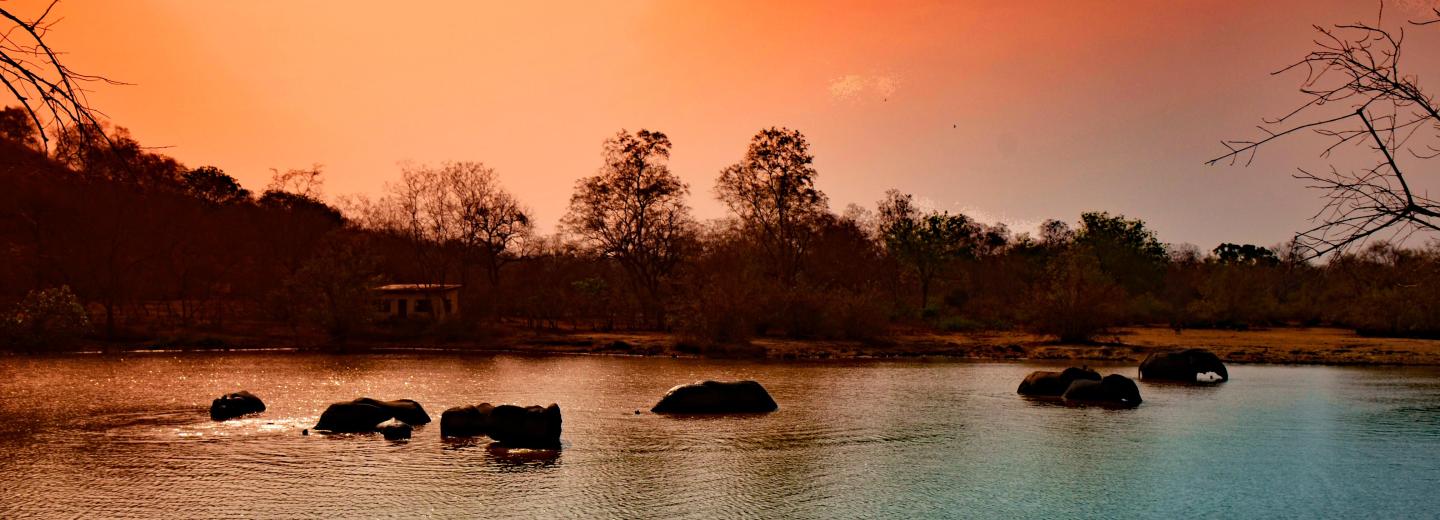Ghána - természet, történelem és tenger - körutazás és fürdőzés