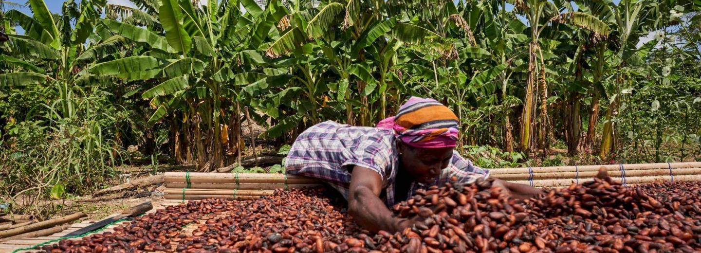 Ghána - természet, történelem és tenger - körutazás és fürdőzés