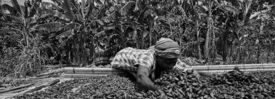 9828353/cocoa-farmer-ghana-1_1761215696246.jpg