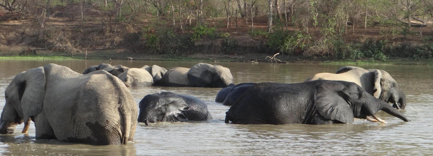 Ghána - természet, történelem és tenger - körutazás és fürdőzés