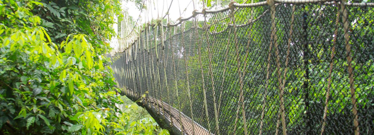 Ghána - természet, történelem és tenger - körutazás és fürdőzés