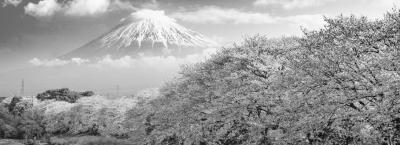 9828523/fuji-berg-japan-gettyimages-677209164_1761646232152.jpg