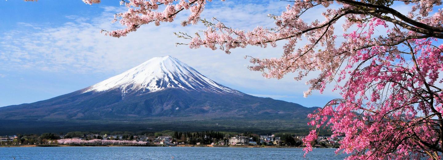 Japan zur Kirschblüte - City-Trip & Luxus-Kreuzfahrt
