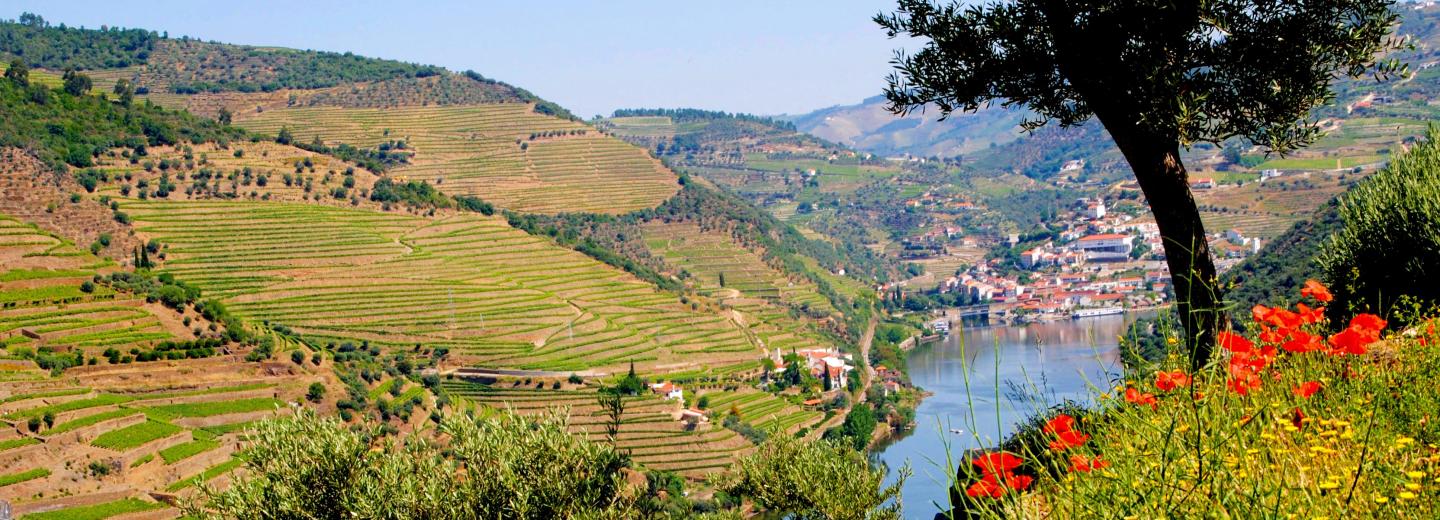 Porto & Douro - City-Trip & Flusskreuzfahrt
