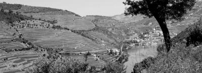 9828600/douro-pinhao-landschaft-02_1761721908857.jpg