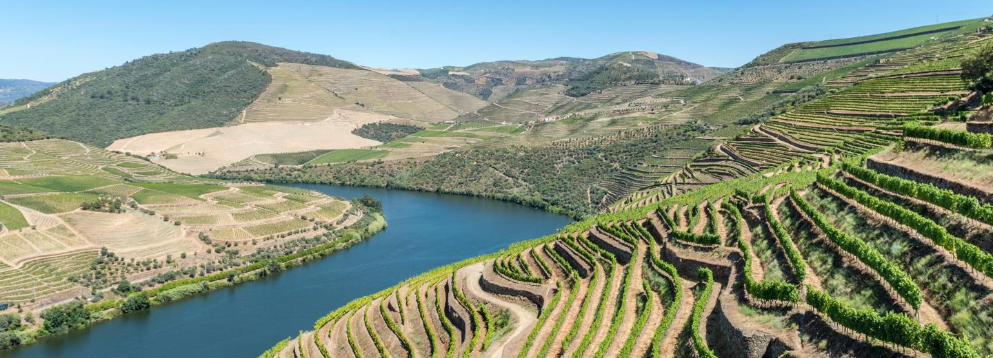 Porto & Douro - City-Trip & Flusskreuzfahrt