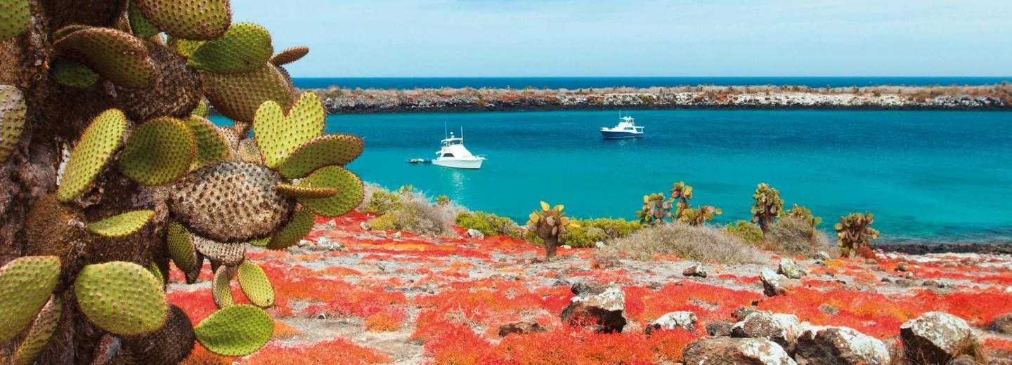 Amazonas & Galápagos-Inseln - Luxuskreuzfahrt & Rundreise