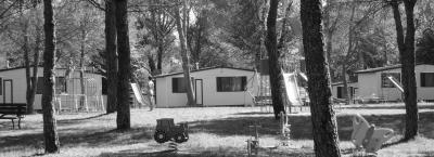 9829039/camping-village-belvedere-pineta-grado-111217-23308-6_1762352159586.jpg