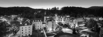 9829165/grand-hotel-sava-rogaska-060619-10010-3_1762524884362.jpg