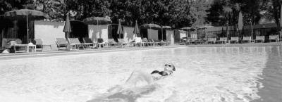 9829834/06-feriendorf-zum-st-rrischen-esel-pool_1763386167377.jpg