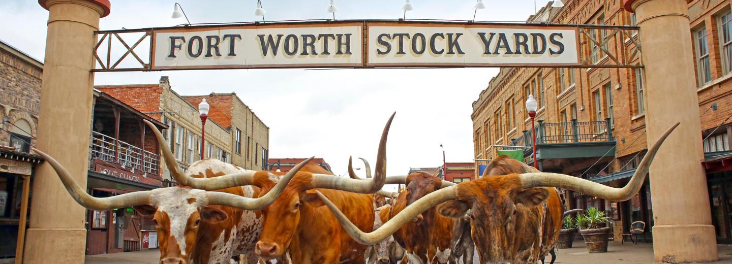 Durch die USA-Südstaaten von Dallas bis Atlanta - Rundreise