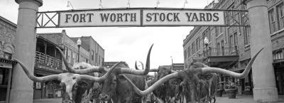 9829922/fort-worth-stockyards-fort-worth-convention-visitors-bureau_1763466735927.jpg