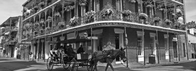 9829922/new-orleans-frenchquartercarriage-ccaleeallen-fotolia-3279225-erweitert_1763466681807.jpg