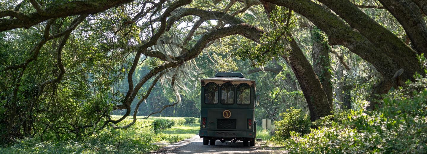 Durch die USA-Südstaaten von Dallas bis Atlanta - Rundreise