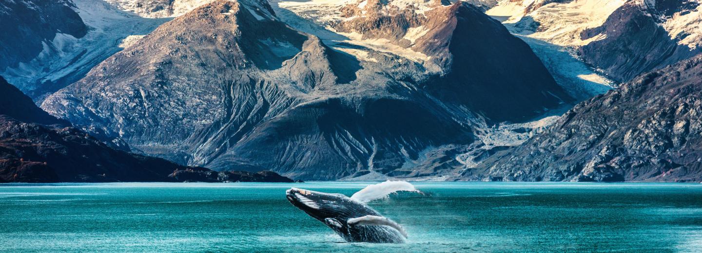 Észak-Amerika természeti csodáinak felfedezése - körutazás és hajóút