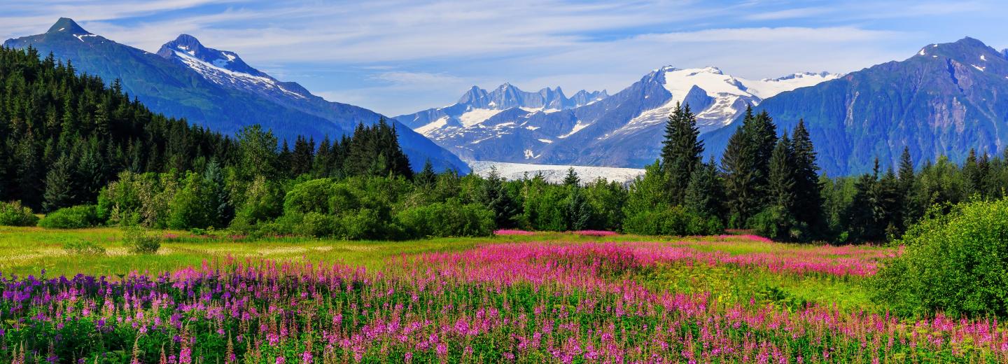 Észak-Amerika természeti csodáinak felfedezése - körutazás és hajóút