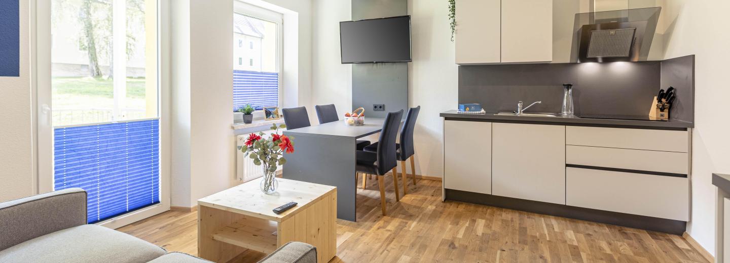 Zimmerbeispiel, Premium Plus Apartment mit Indoor-Whirlpool Balkon "Erzberg"