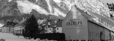 9830559/alpin-resort-erzberg-eisenerz-850017159-290124-51227-2_1764336200072.jpg