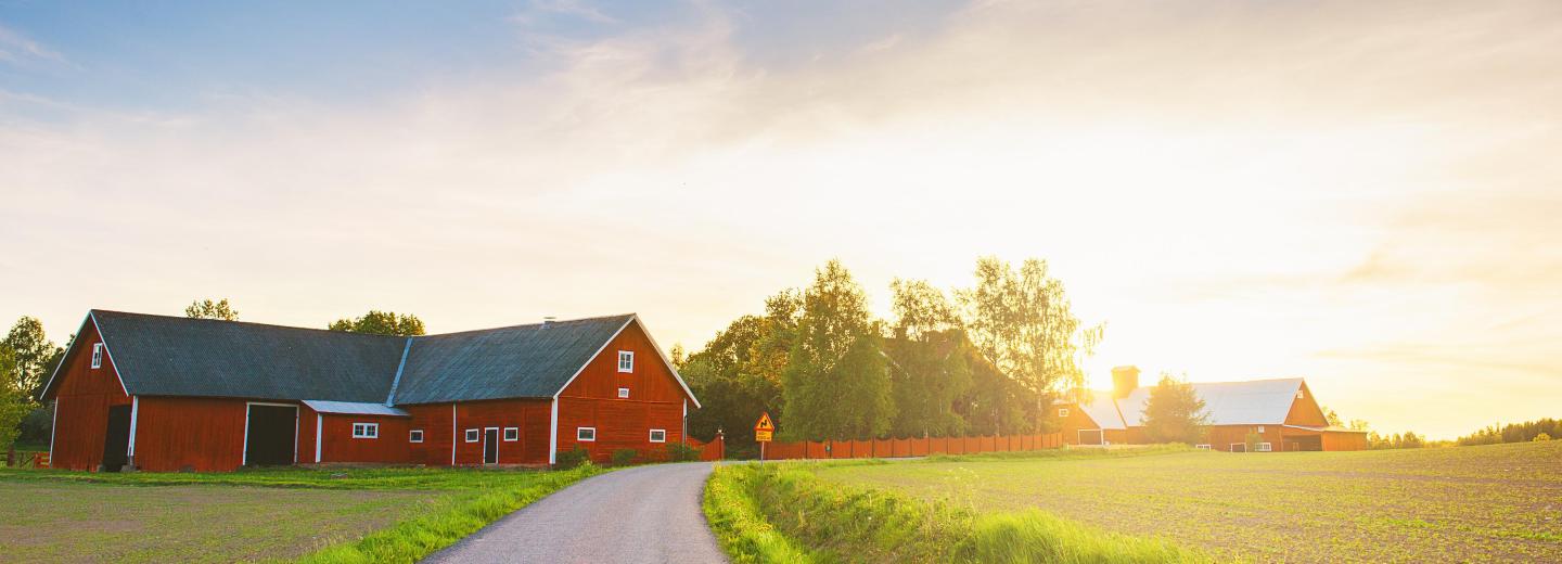 Svédország parttól partig