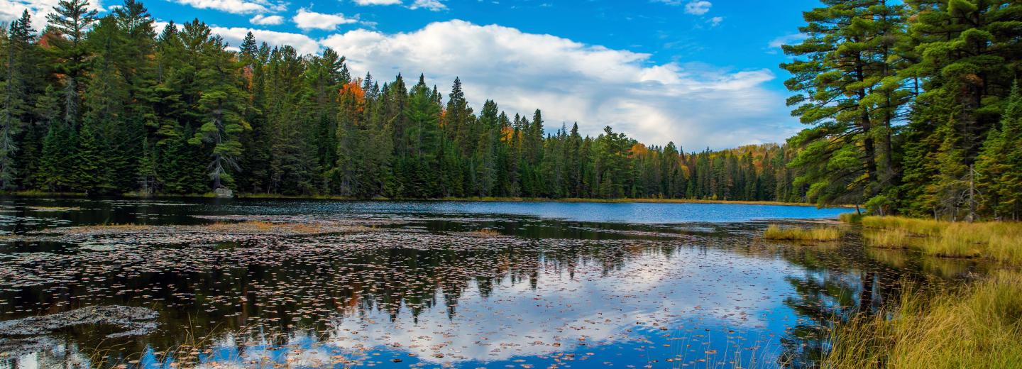 Nyugat-Kanada: a prérin át a Sziklás-hegységen át a Csendes-óceán partjáig - körutazás