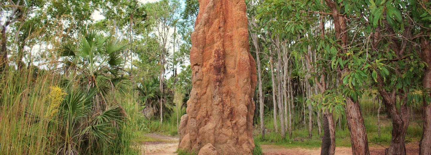 Ausztrália - körutazás