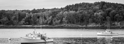 9831001/portland-print_1777366679978.jpeg