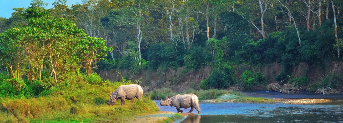 Chitwan-Nationalpark