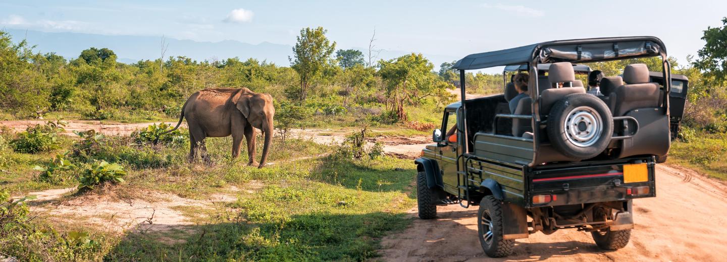Afrika körül - hajóút