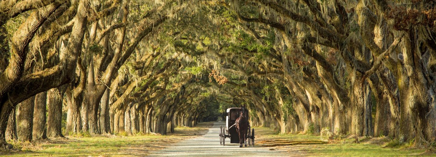 Texas & die Südstaaten - Rundreise