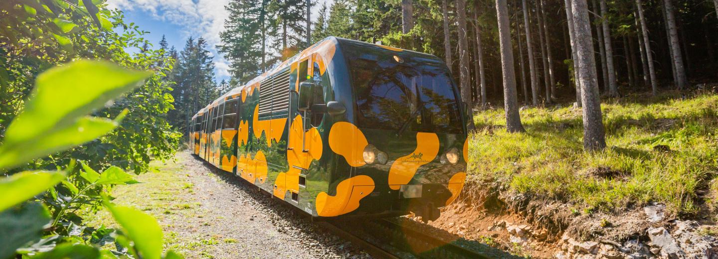 Schneebergbahn (Salamander-vonat)