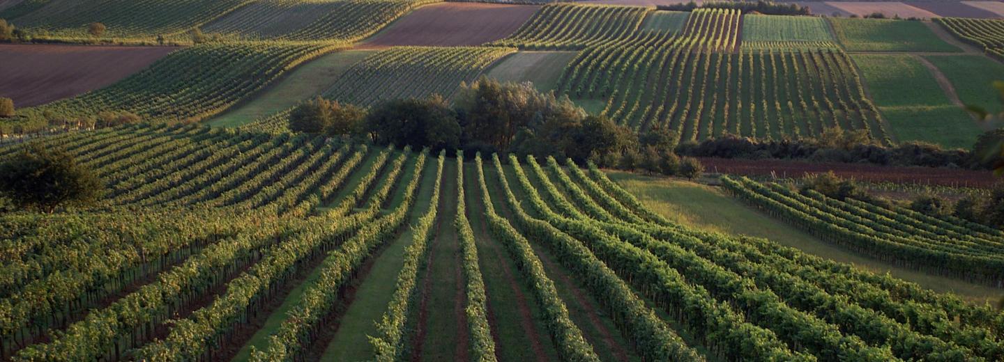 Hainburg an der Donau