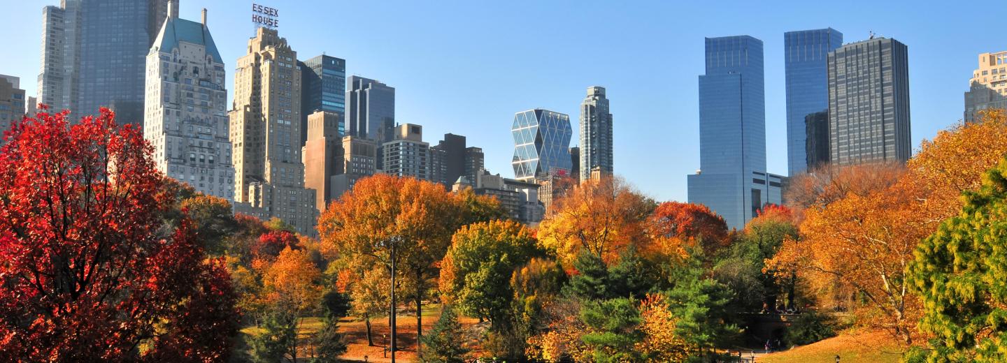 Central Park ősszel