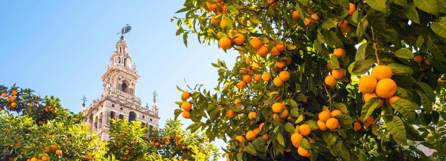 Andalúzia - Repülj, vezess és aludj!