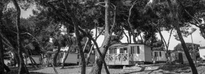 9833288/camp-arena-stoja-mobile-homes-pula-260719-8184-11_1769608702262.jpg