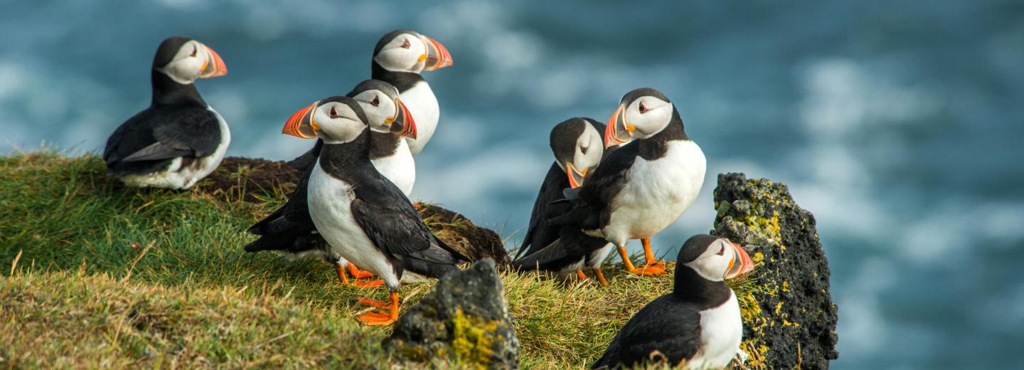 Izland a körút mentén