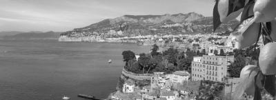 9834269/adobestock-267439133-sorrento_1771327499343.jpeg