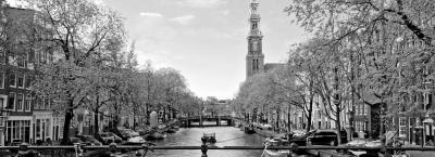 9834481/adobestock-330207722-amsterdam_1771949867240.jpeg