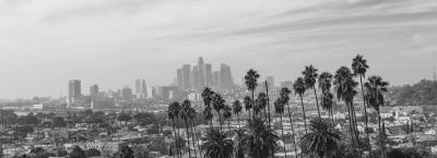 9834487/adobestock-245514086-los-angeles_1771939429712.jpeg