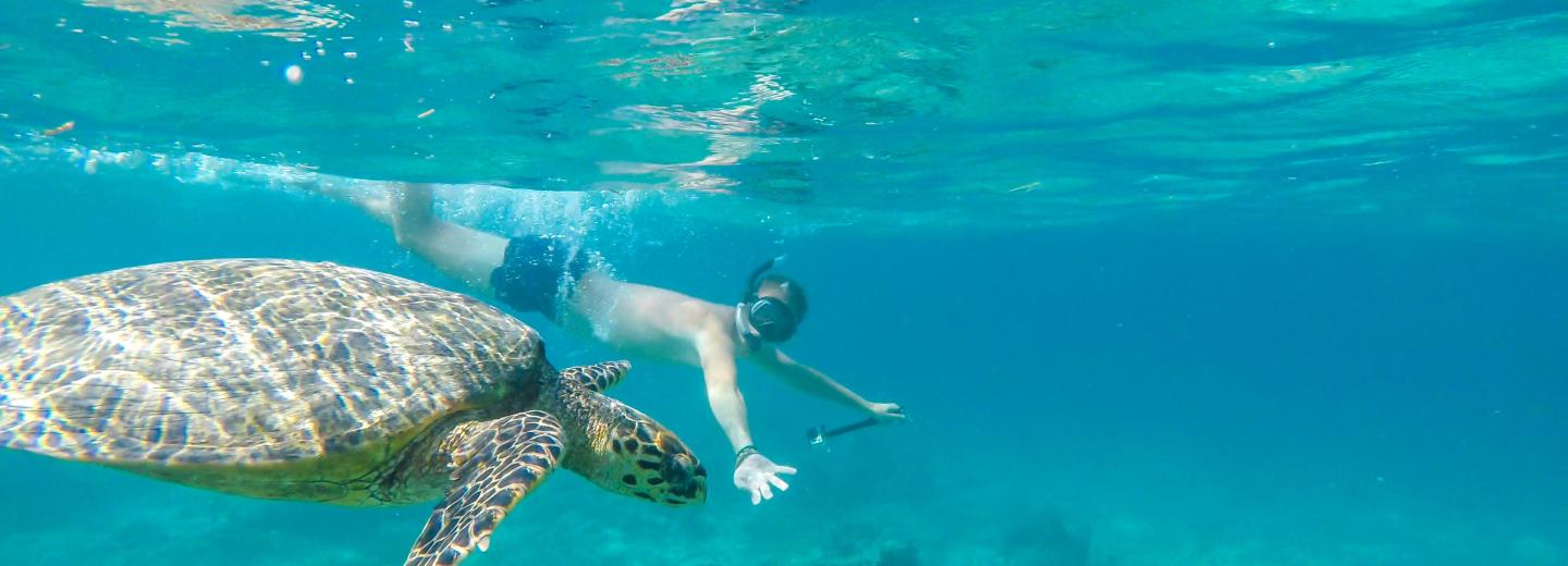 Bali - szigeteket érintő utazás