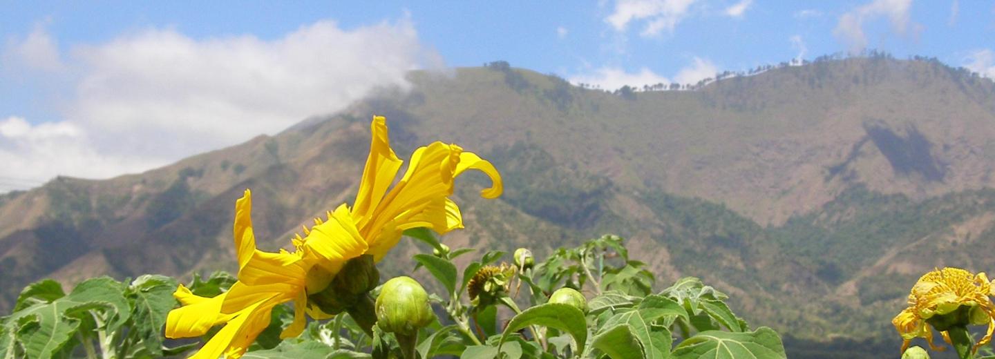 Bali - szigeteket érintő utazás
