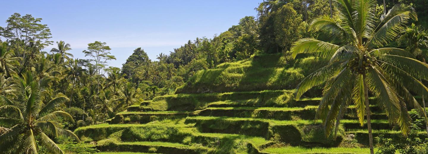 Bali - szigeteket érintő utazás