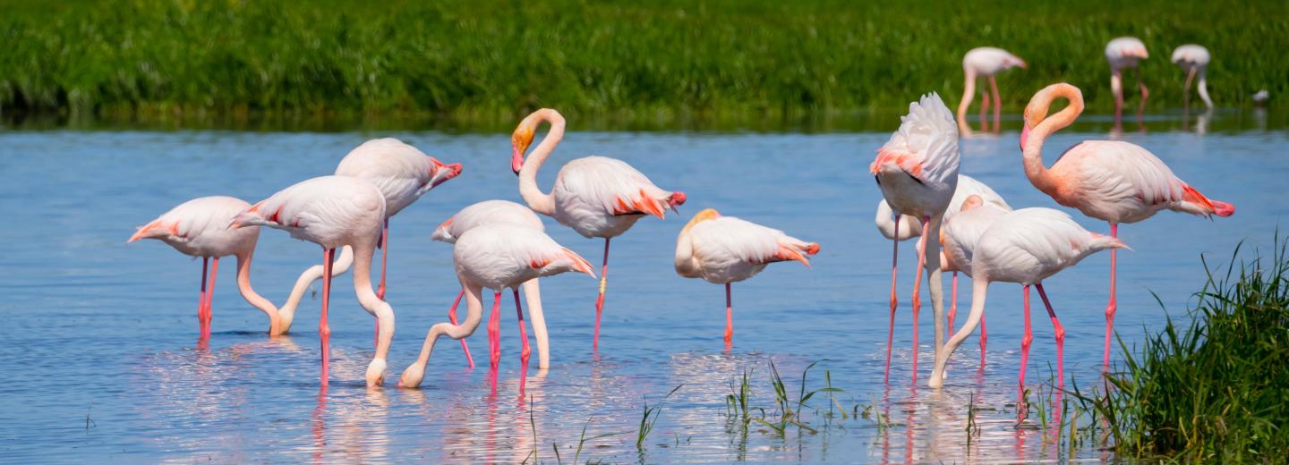 Nyugat-Földközi-tenger – hajóút