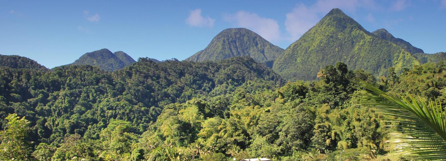 Große Winterpause Karibik - Kreuzfahrt