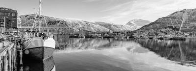 9835240/adobestock-196864011-tromso_1772795346061.jpeg