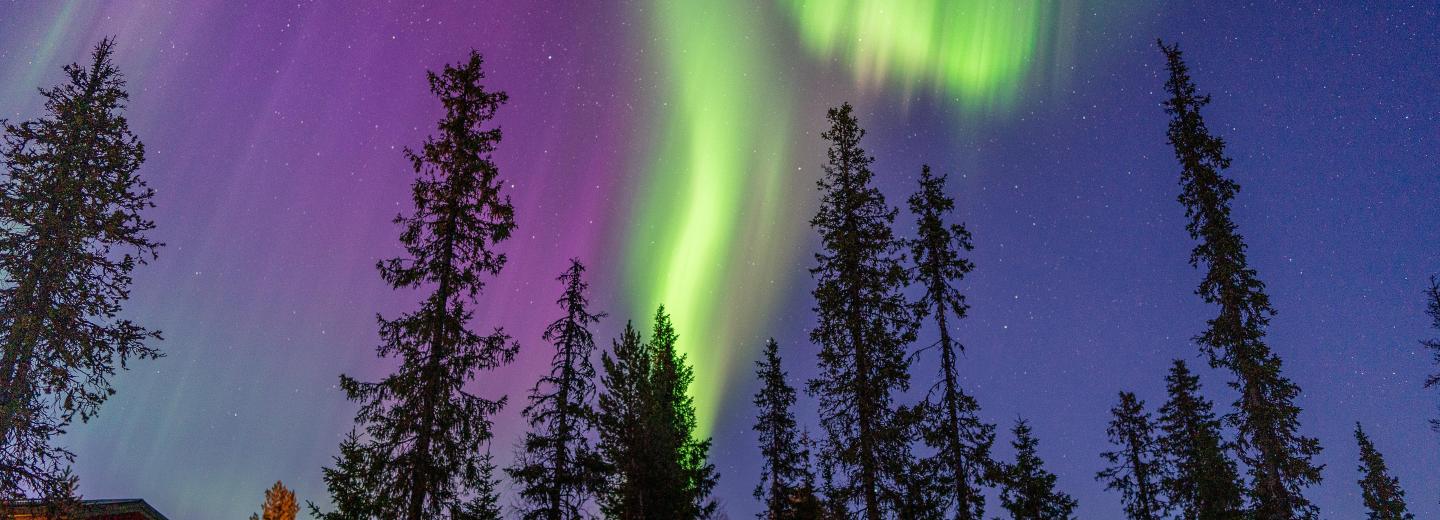 Hurtigruten - Signature Nordkap Linie - Kreuzfahrt