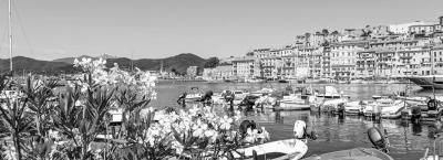 9835415/adobestock-519398812-portoferraio_1773140941800.jpeg