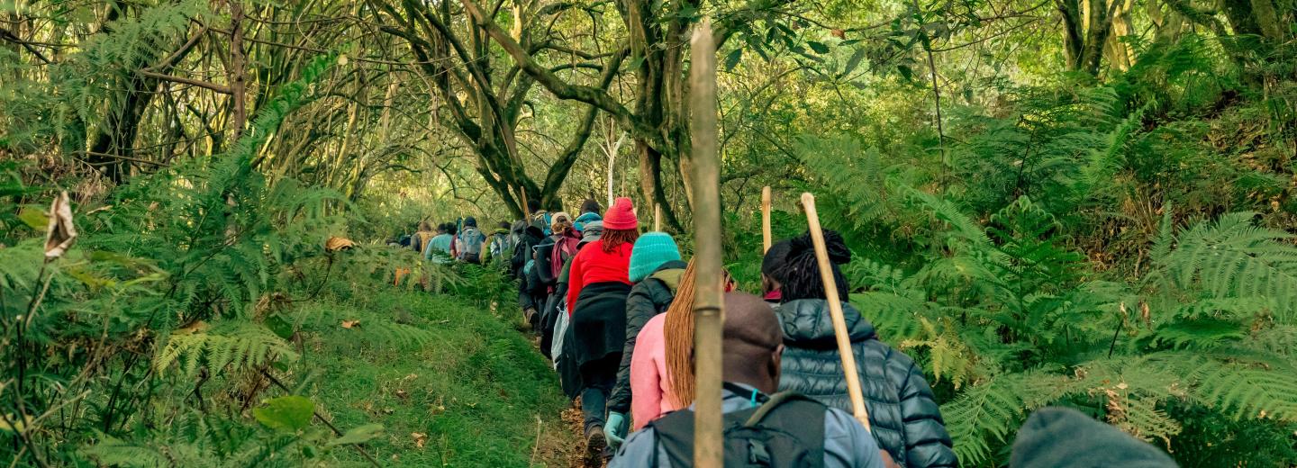 Uganda - A gorillák és csimpánzok birodalmában - Körutazás és szafari