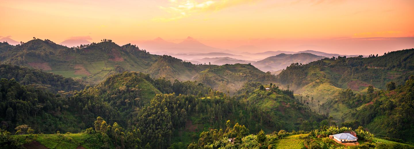 Uganda - A gorillák és csimpánzok birodalmában - Körutazás és szafari