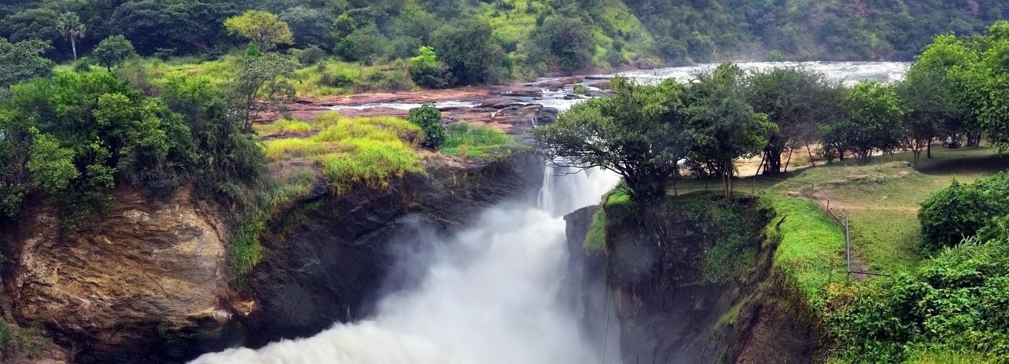 Uganda - A gorillák és csimpánzok birodalmában - Körutazás és szafari