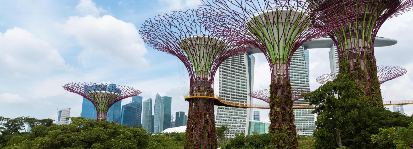 Tokióból Szingapúrba - hajóút